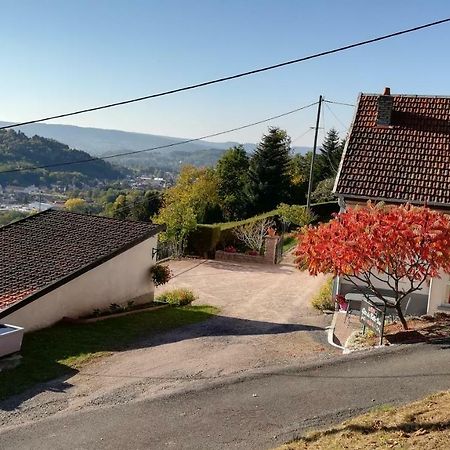 Gite De Bellevue Maison Traditionnelle Vosgienne プレンフェン エクステリア 写真