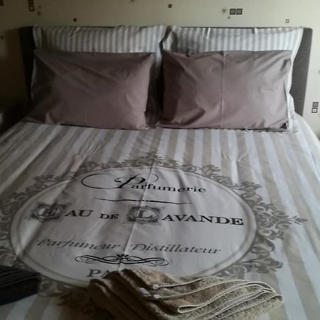 Gite De Bellevue Maison Traditionnelle Vosgienne プレンフェン エクステリア 写真