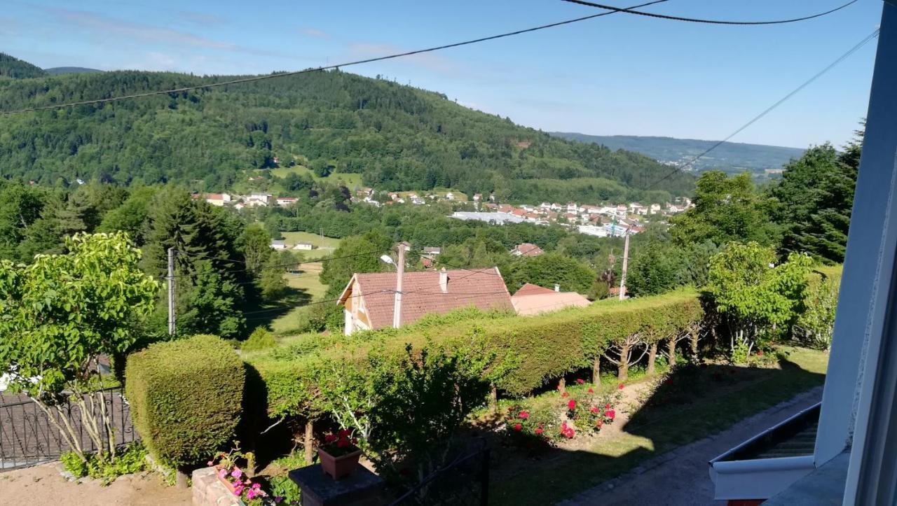 Gite De Bellevue Maison Traditionnelle Vosgienne プレンフェン エクステリア 写真