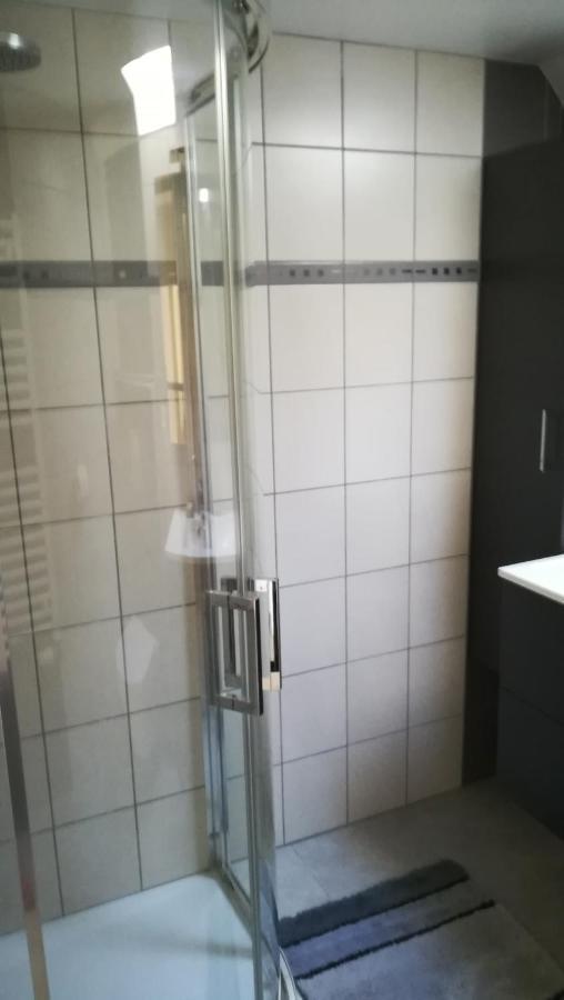 Gite De Bellevue Maison Traditionnelle Vosgienne プレンフェン エクステリア 写真