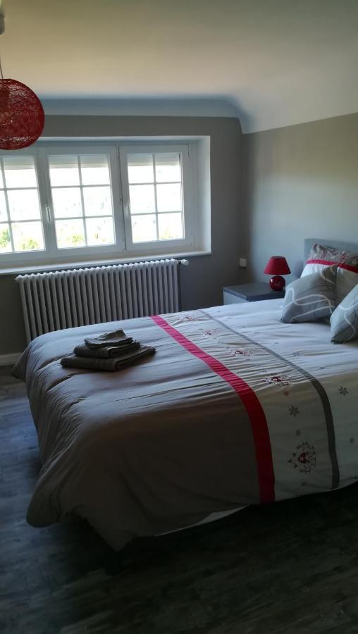 Gite De Bellevue Maison Traditionnelle Vosgienne プレンフェン エクステリア 写真