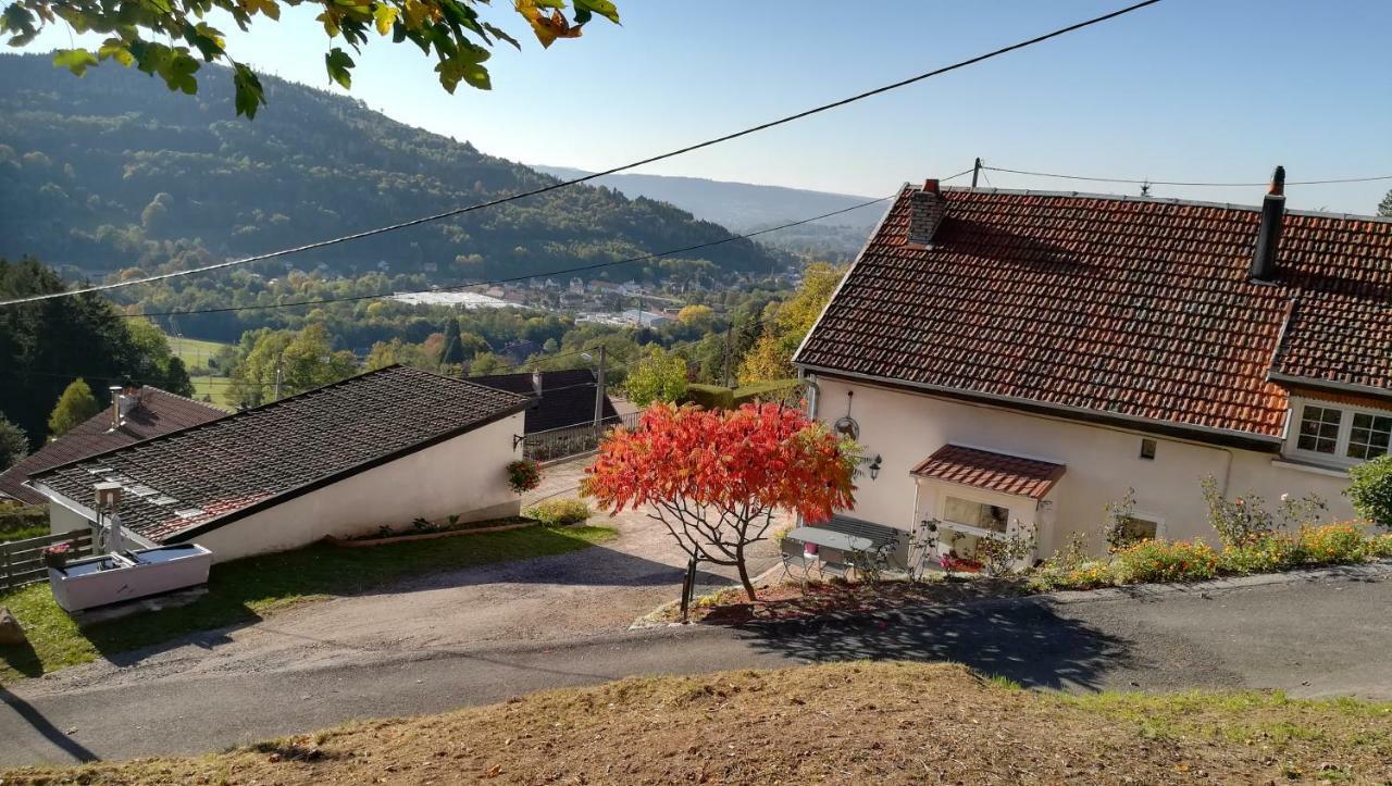 Gite De Bellevue Maison Traditionnelle Vosgienne プレンフェン エクステリア 写真
