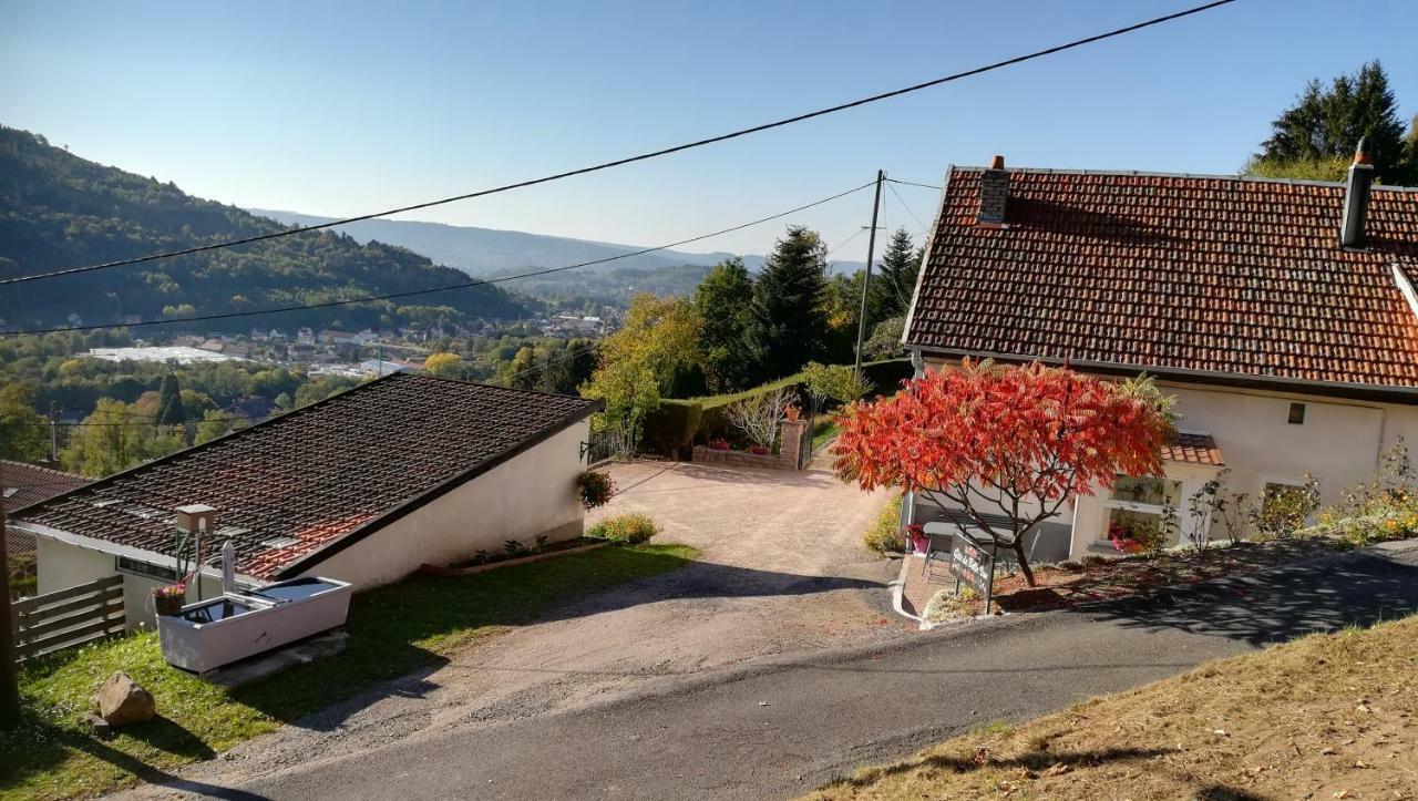 Gite De Bellevue Maison Traditionnelle Vosgienne プレンフェン エクステリア 写真