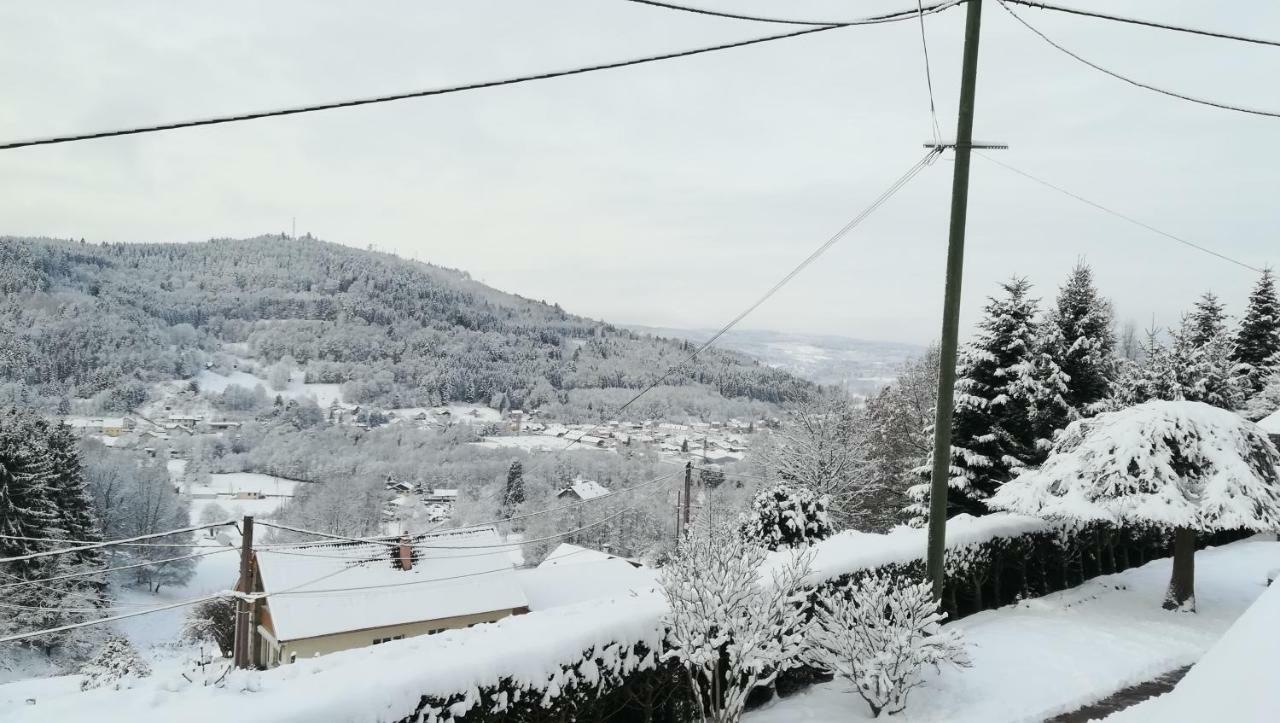 Gite De Bellevue Maison Traditionnelle Vosgienne プレンフェン エクステリア 写真