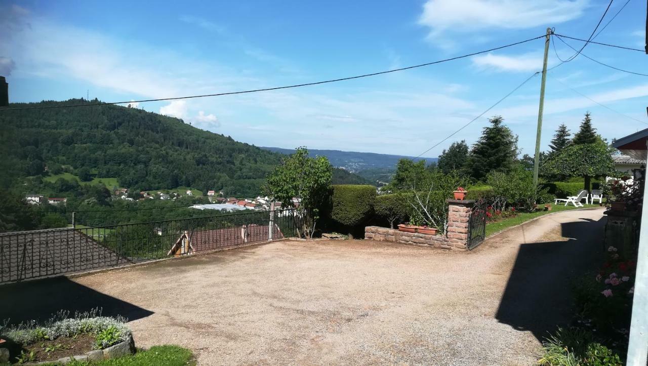 Gite De Bellevue Maison Traditionnelle Vosgienne プレンフェン エクステリア 写真